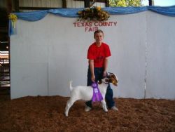 Hill Country Farm with their GC Wether Out of  A Bear Creek Buck  (18 Wethers were in the class)