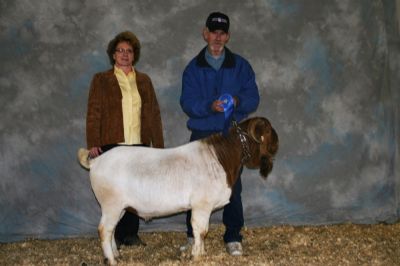 RA Mr. Texas Gunner Yearling Champion Buck, NEW Early Spring Show, Paragould, AR  3/28/09