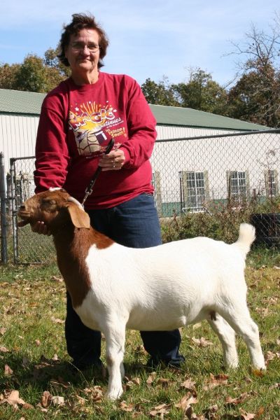 Bear Creek BC Z445, Daughter of TLB 9004 and Bear Creek BC T92, residing in Iowa