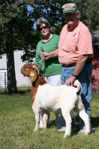 Bear Creek BC Z480, Son of TLB 8055 and Bear Creek BC T77, residing in SE Missouri