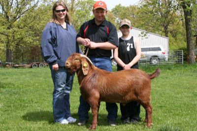 Bear Creek BC X355 General Lee, An     R. A. Mr. Texas Gunner Son