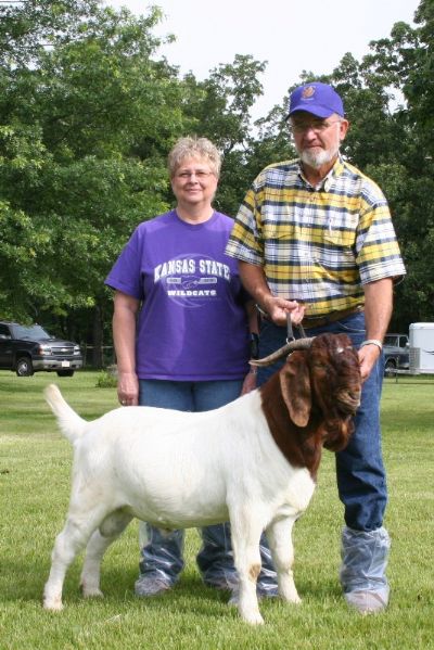 Bear Creek BC Y410,  A   R. A. Mr. Texas Gunner Son