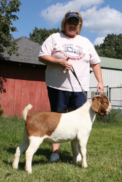 Bear Creek BC Z461, Son of TLB 9004 and Bear Creek BC X329 Brooke, staying in Missouri