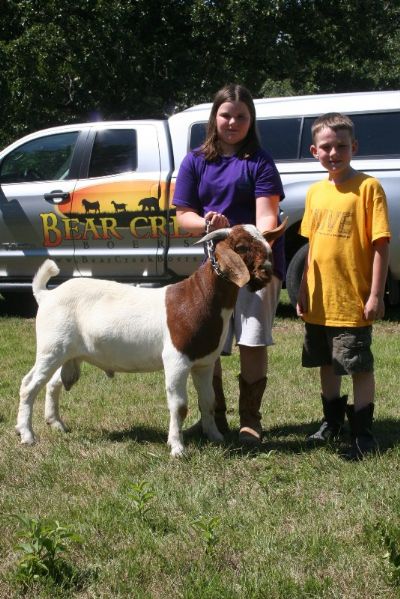 Bear Creek BC A525, Son of Bar None 5's Jack Blue and Bear Creek BC T89 Sarah, Heading to KY