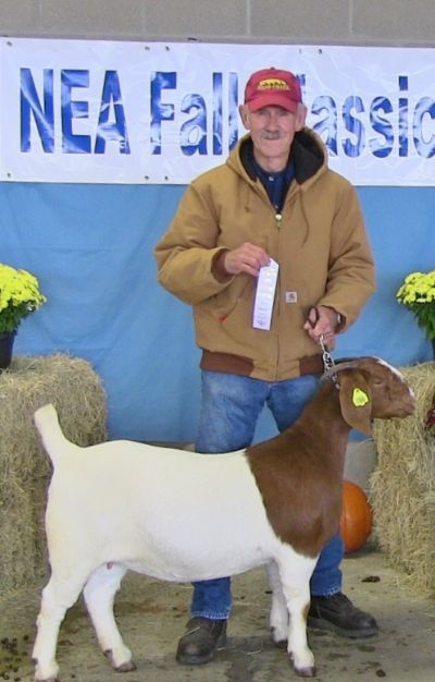 Bear Creek BC D766 Sheeza Dream out of Steam Roller placed 3rd at 1st and 3rd show.