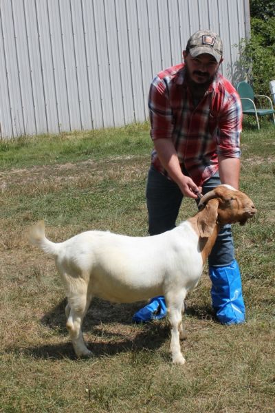 Bear Creek BC G1056 sired by Bear Creek BC D827 Gator's Dundee and out of BC C722. Staying in MO