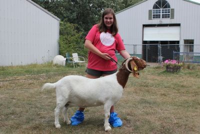 Bear Creek BC B699 Mandy sired by Bear Creek BC A559 Starsky and out of BC T95.  Staying in MO.