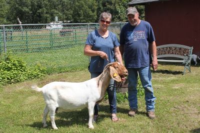 Bear Creek BC A511 Cinderella Sired by Bar None 5's Jack Blue and out of BC T78.  Heading to AR.