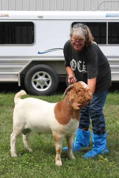 Bear Creek BC J1127 Sired by  BC G1033 Dundees New Frontier and out of BC D766.  Staying in MO.