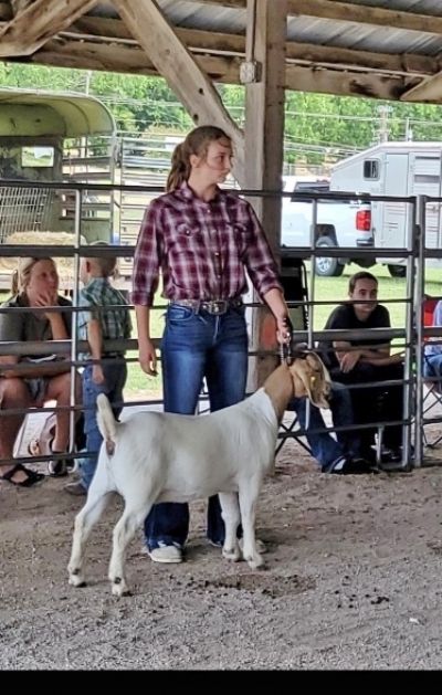 Congrats Maddy on 1st Place Rsv Grand Ch. Doe and 1st place showmanship at Christian County Fair MO