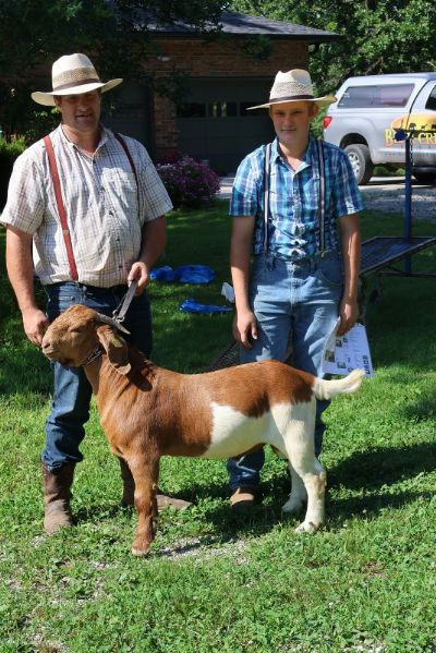 Bear Creek BC R1359 Sired by KMSL ROR1 Smoke Show and out of BC M1253 Adeline. Staying in MO
