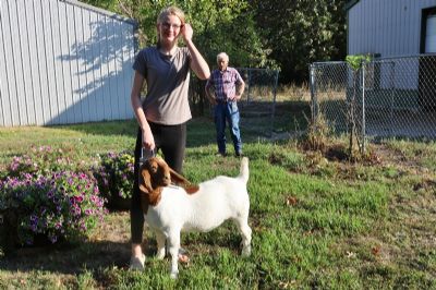 Bear Creek BC R1364 sired by KMSL ROR1 Smoke Show and out of BC L1189 Honeysuckle Ros. Heading to TX