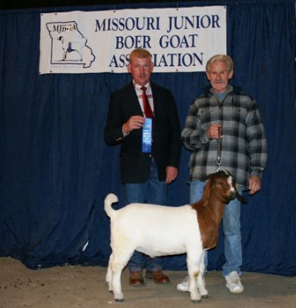 Bear Creek BC W253 Apache Won First Place at MO Spring Spectacular, Sedalia, MO 4/26/08