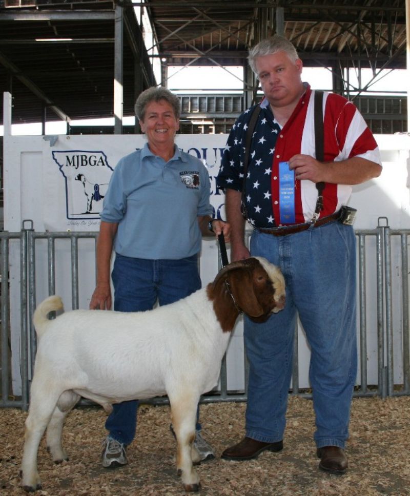 Bear Creek BC W312 won his class 9-12 month at the Show-Me Fall Finale 12 Oct 08 in Sedalia, MO