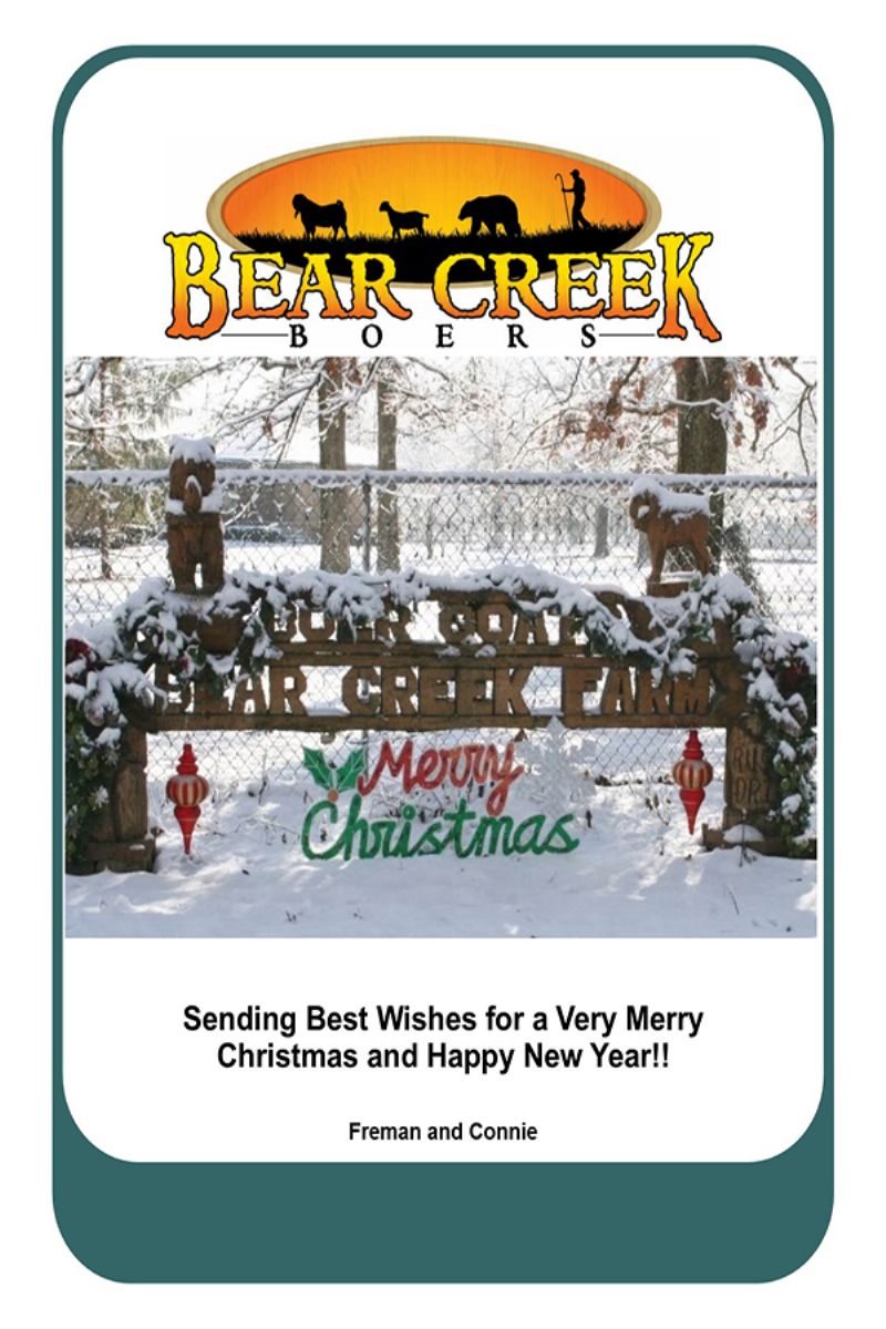 Bear Creek Wishes Everyone A Very Merry Christmas 2022 - Boer Goat Doe