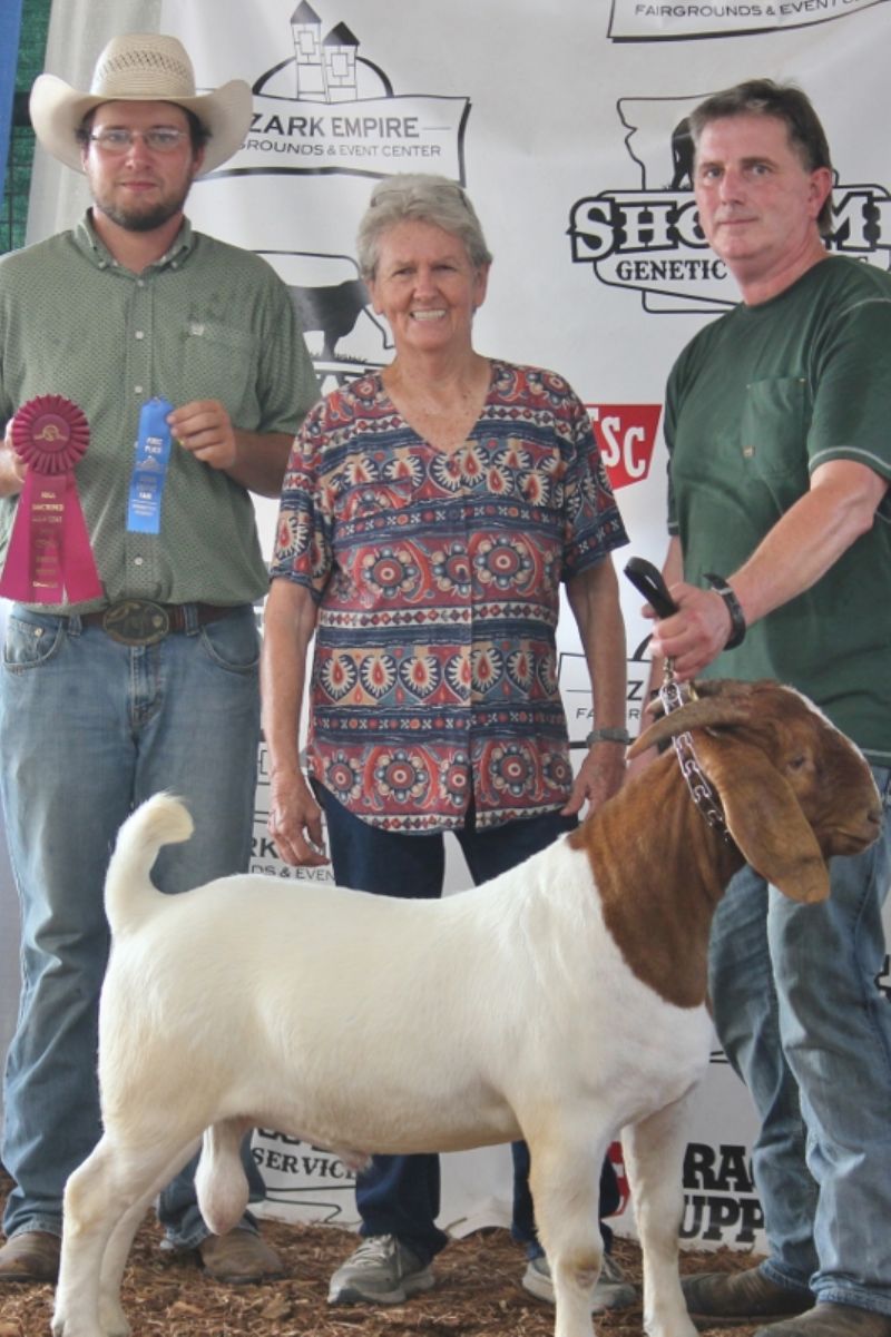 Bear Creek BC M1230 Traveler was Rsv Junior Champion Buck at Ozark Empire Fair 4 Aug 2023